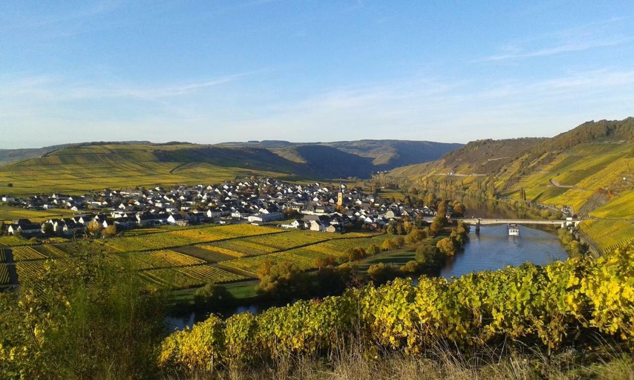 Wein & Gastehaus Hermeshof Hotel Trittenheim Kültér fotó