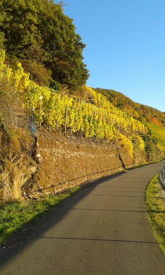 Wein & Gastehaus Hermeshof Hotel Trittenheim Kültér fotó